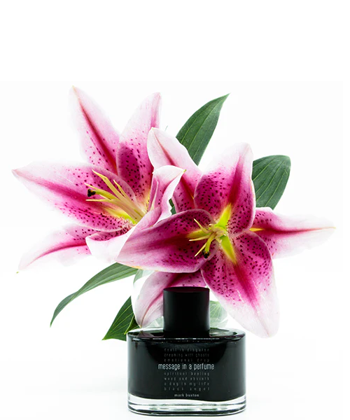 Message in a Perfume