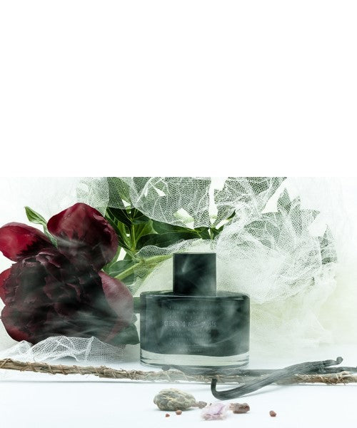 Dreaming with Ghosts