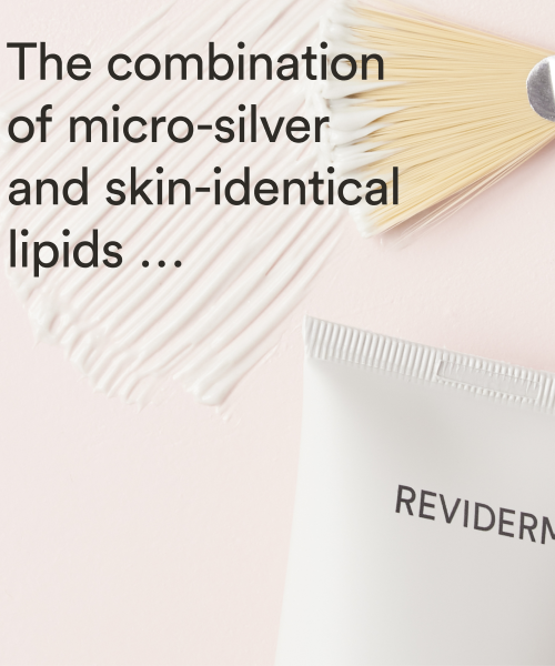 Silver Detoxifying Mask